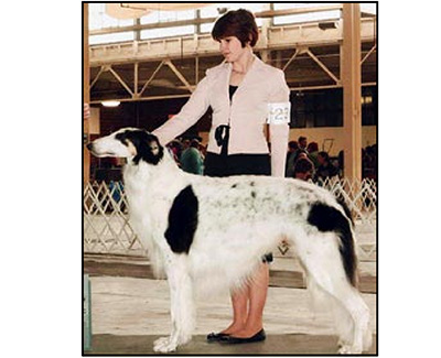 Top Junior Handler 2008